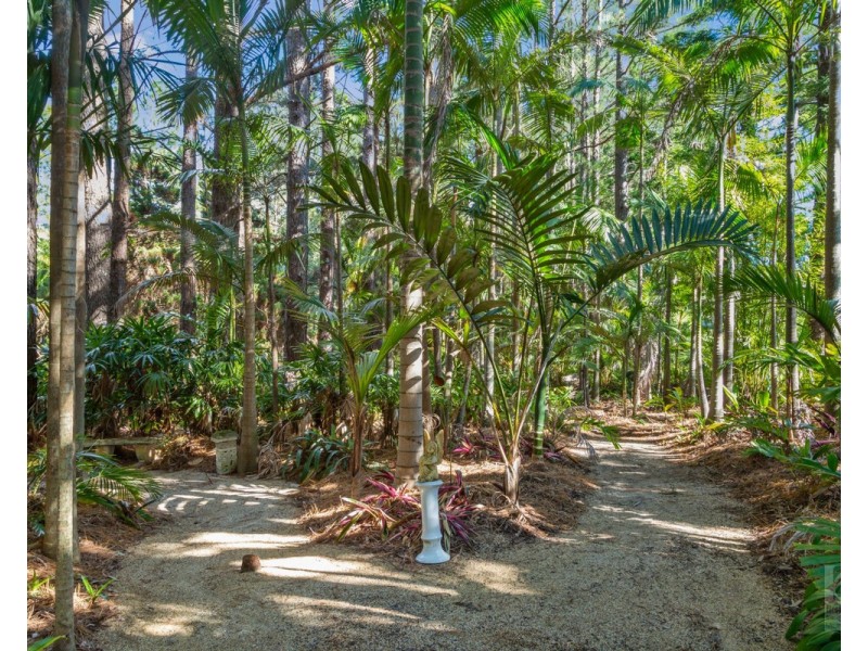 191 Pinnacle Road, Pumpenbil NSW 2484