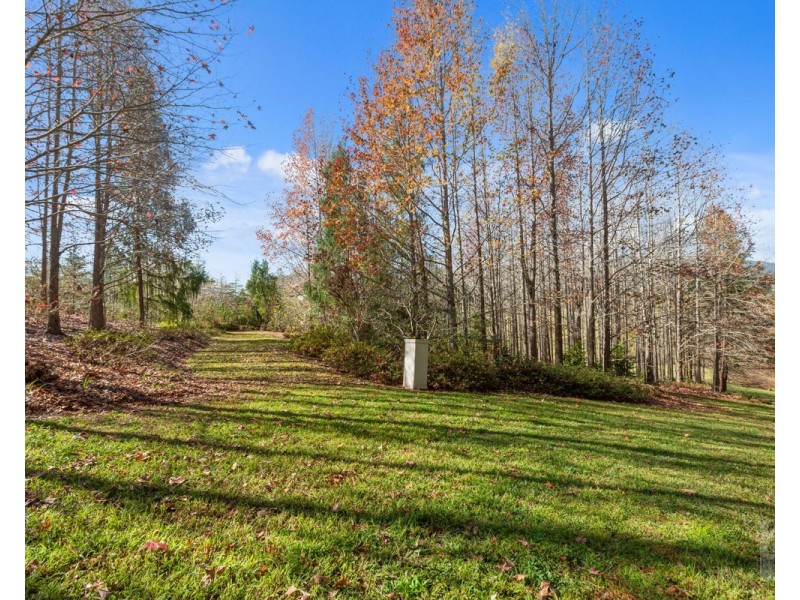 191 Pinnacle Road, Pumpenbil NSW 2484