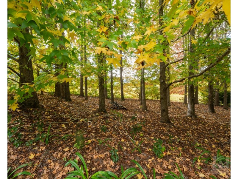 191 Pinnacle Road, Pumpenbil NSW 2484