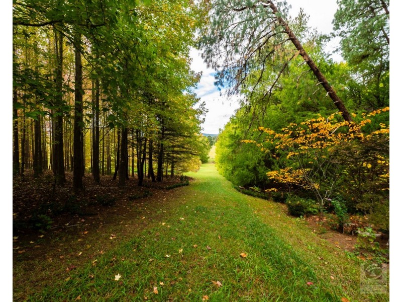 191 Pinnacle Road, Pumpenbil NSW 2484