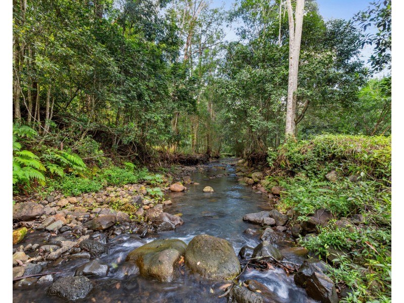 2038 numinbah Road, Numinbah NSW 2484