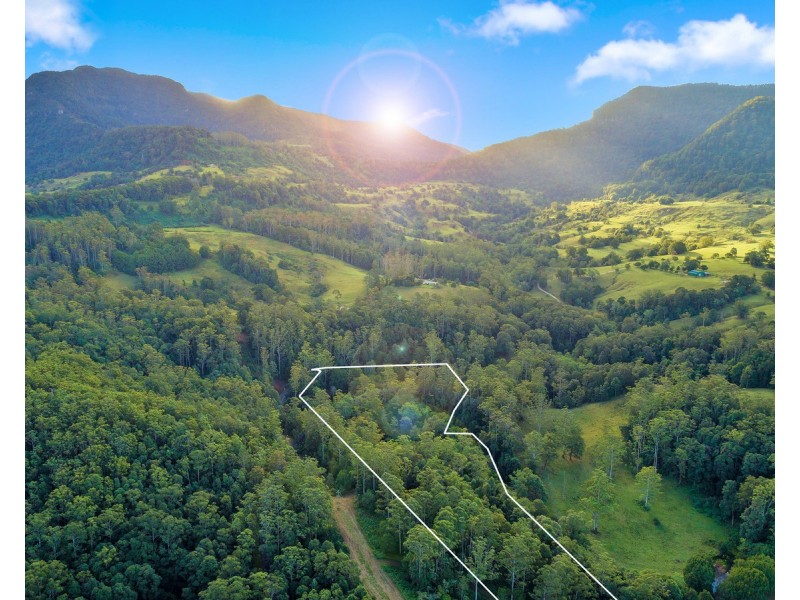 2038 numinbah Road, Numinbah NSW 2484