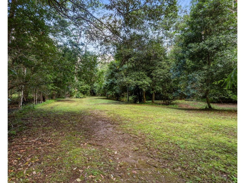 2038 numinbah Road, Numinbah NSW 2484