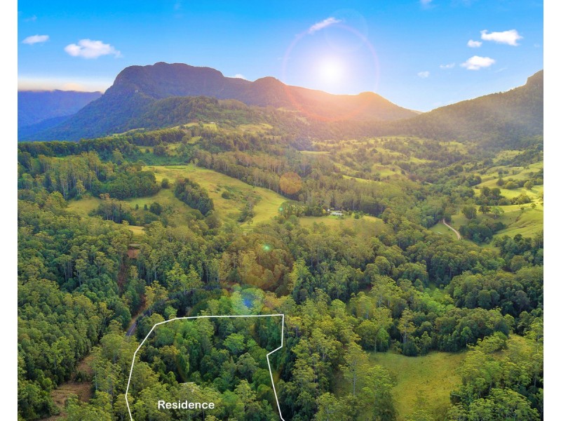 2038 numinbah Road, Numinbah NSW 2484