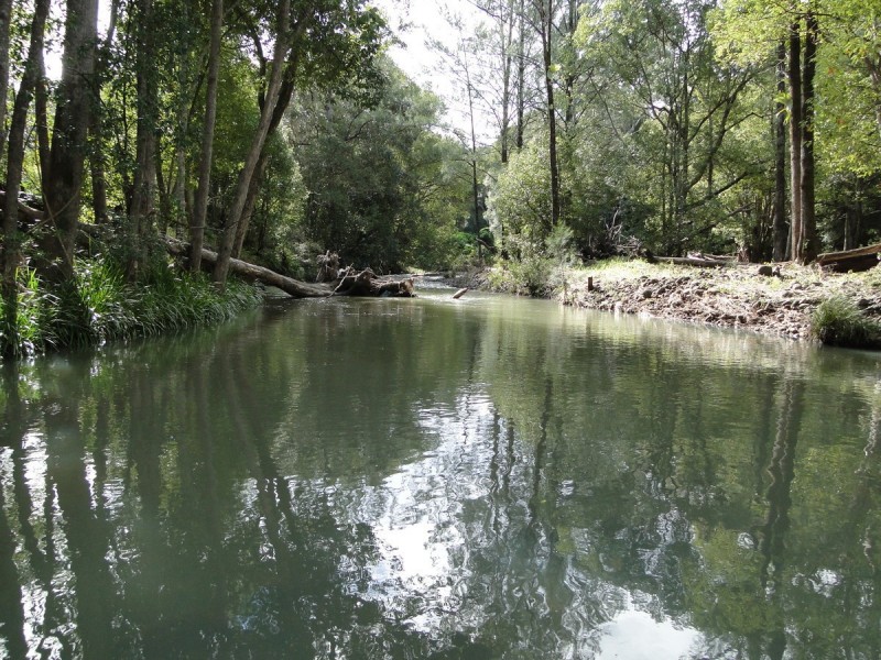 94 Boormans Road, Limpinwood NSW 2484