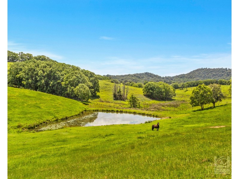 48 Booyong Place, Nobbys Creek NSW 2484