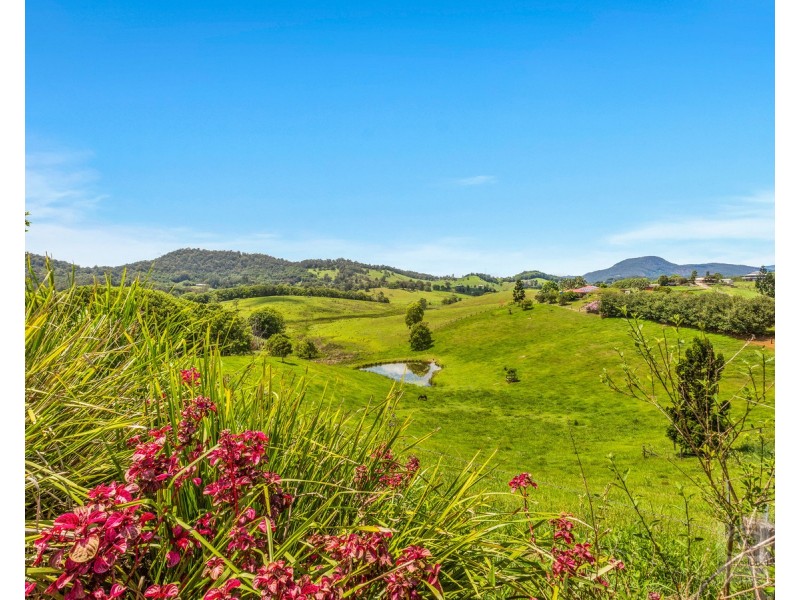 48 Booyong Place, Nobbys Creek NSW 2484