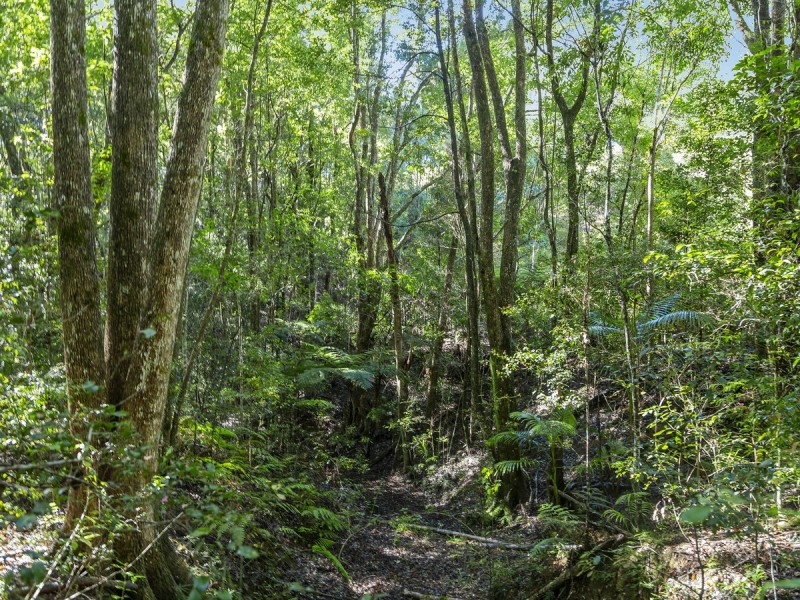 Lot 90 Kyogle  Road, Uki NSW 2484