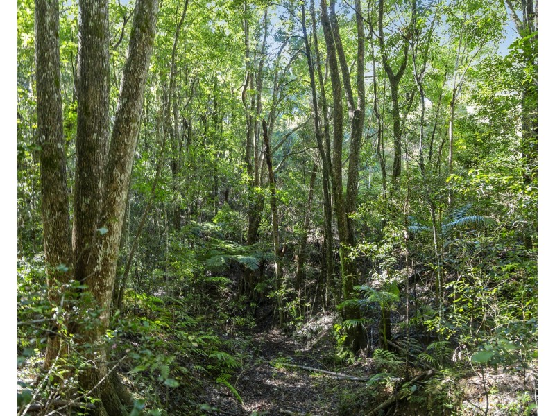 Lot 90 Kyogle  Road, Uki NSW 2484