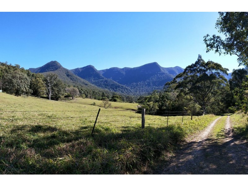 37 Kirbys Road, Limpinwood NSW 2484