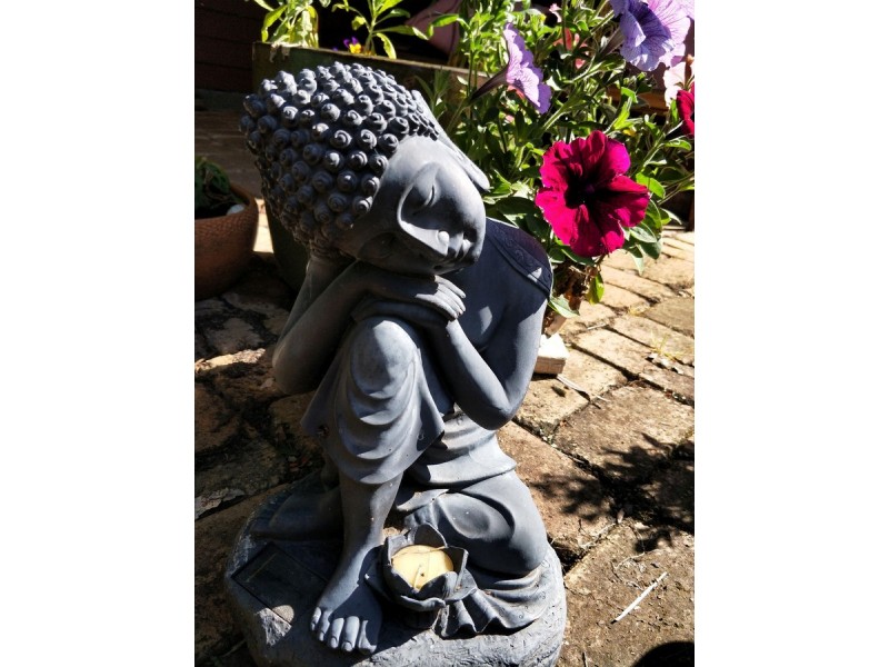 37 Kirbys Road, Limpinwood NSW 2484