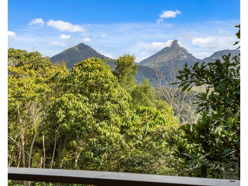 19 McCallum  Place, Uki NSW 2484