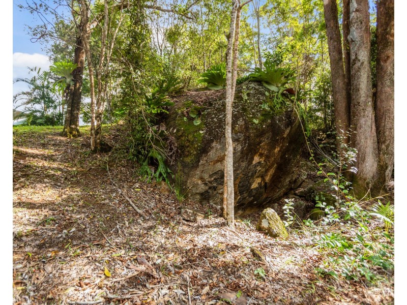 19 McCallum  Place, Uki NSW 2484