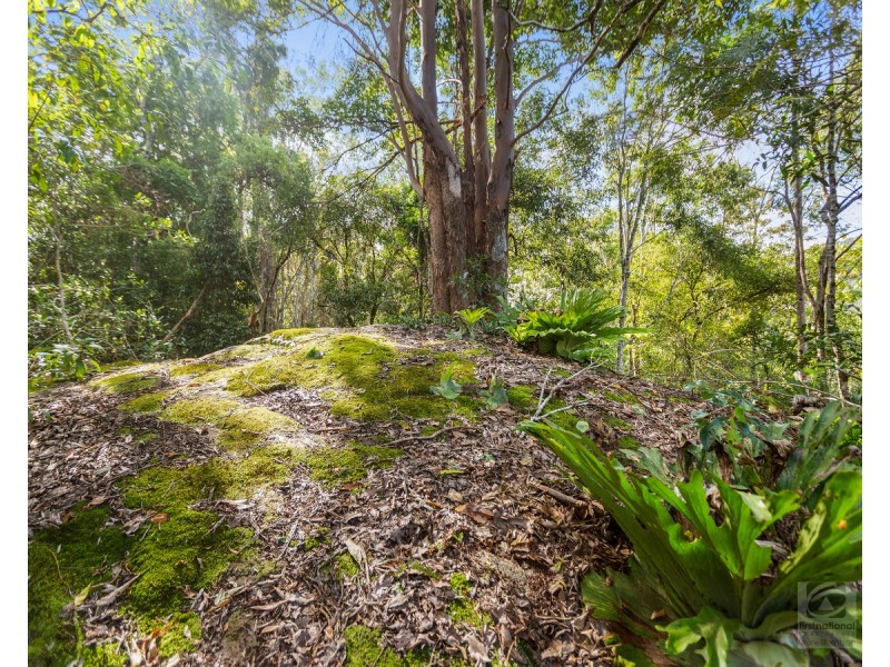 19 McCallum  Place, Uki NSW 2484