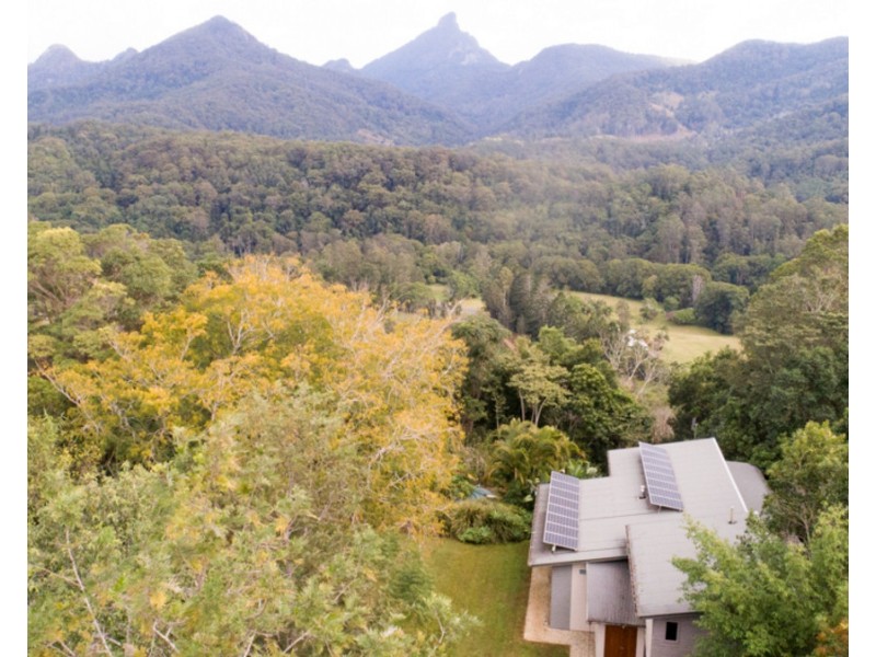 19 McCallum  Place, Uki NSW 2484