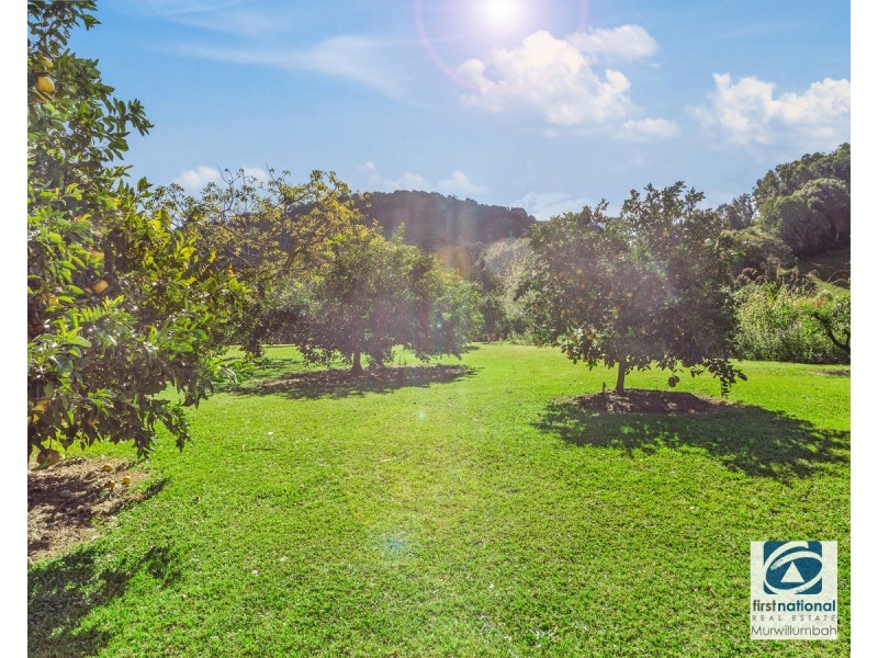 964 Numinbah Road, Crystal Creek NSW 2484