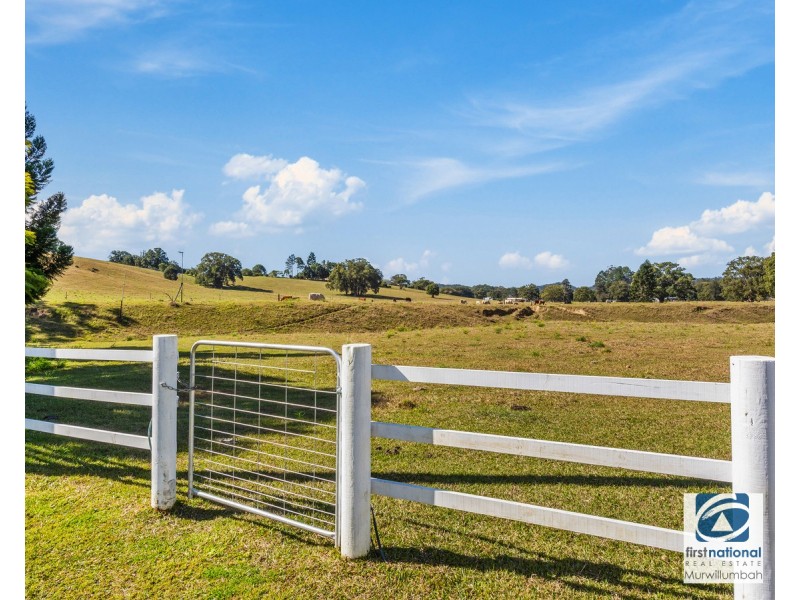 964 Numinbah Road, Crystal Creek NSW 2484