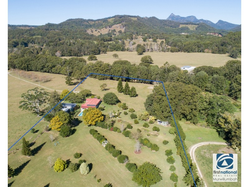 964 Numinbah Road, Crystal Creek NSW 2484
