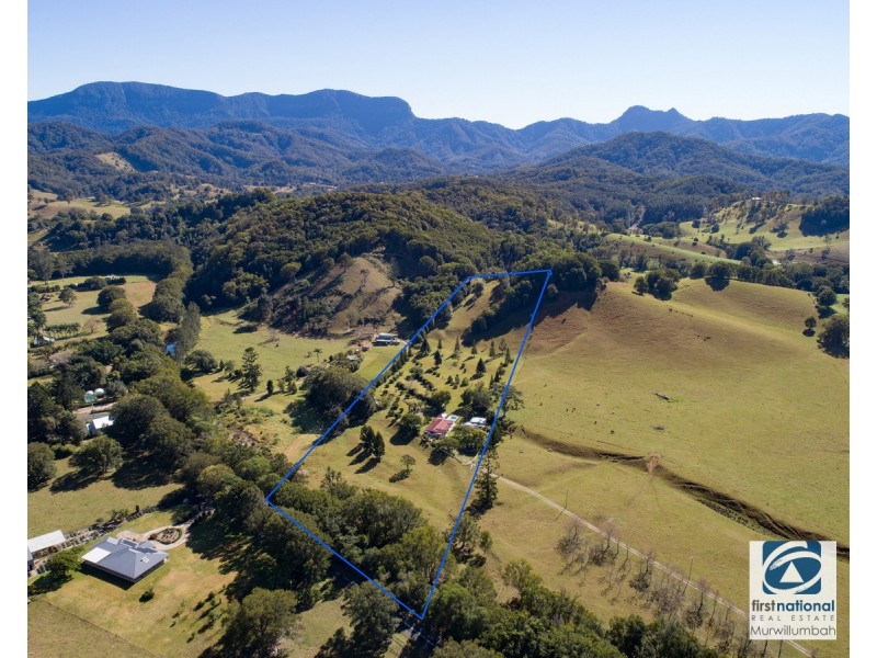 964 Numinbah Road, Crystal Creek NSW 2484