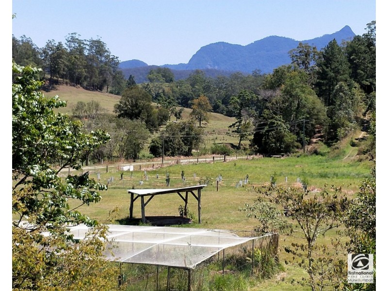 59-61 Costellos Road, Doon Doon NSW 2484