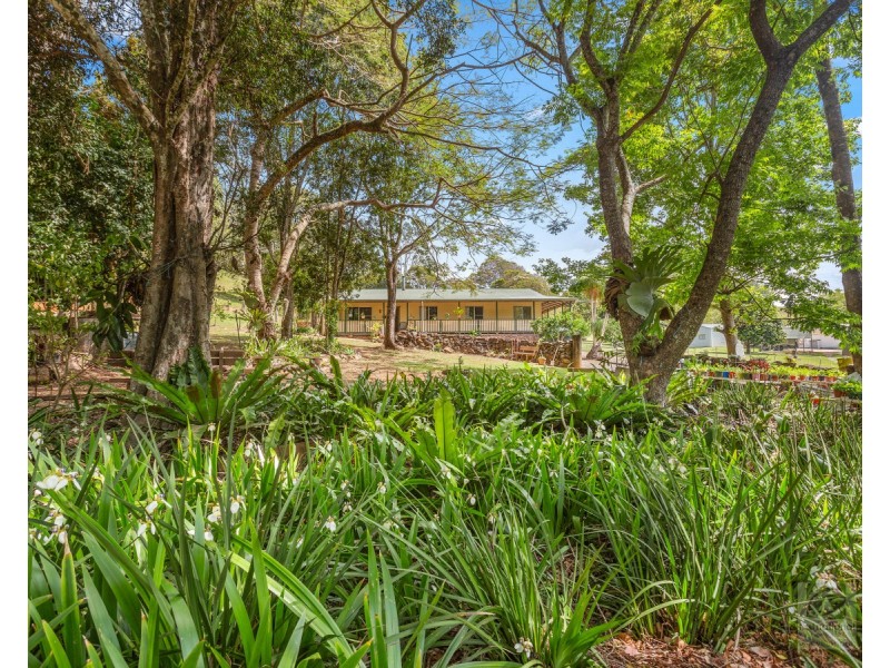 1154 Numinbah Road,Crystal Creek, Chillingham NSW 2484
