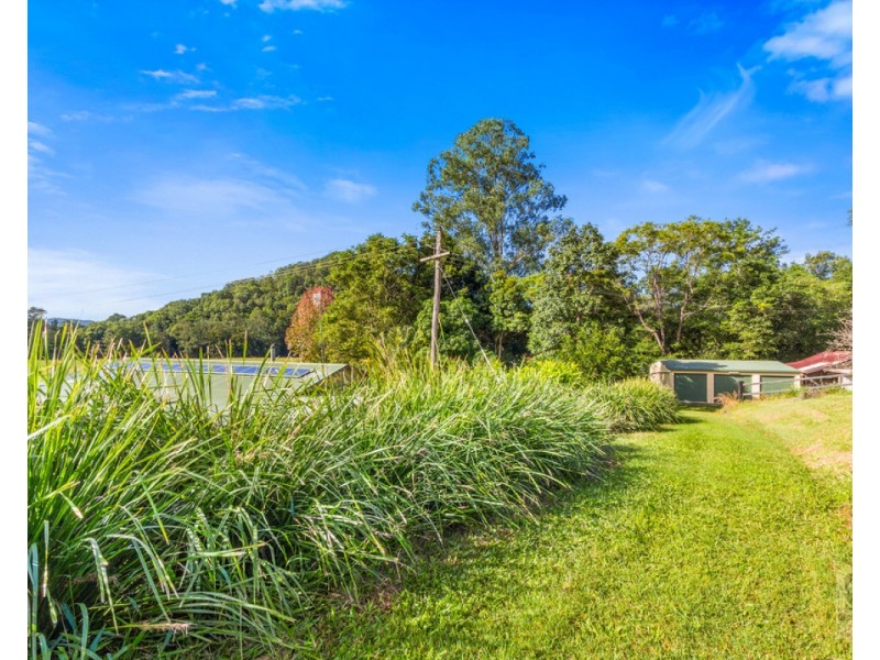 1154 Numinbah Road,Crystal Creek, Chillingham NSW 2484
