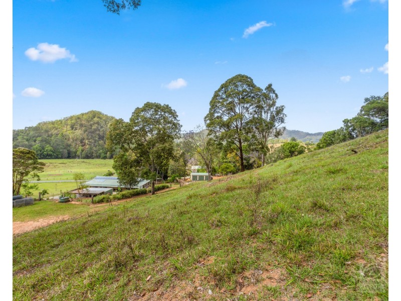 1154 Numinbah Road,Crystal Creek, Chillingham NSW 2484