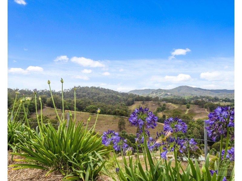 37 Cadaga Road, Fernvale NSW 2484