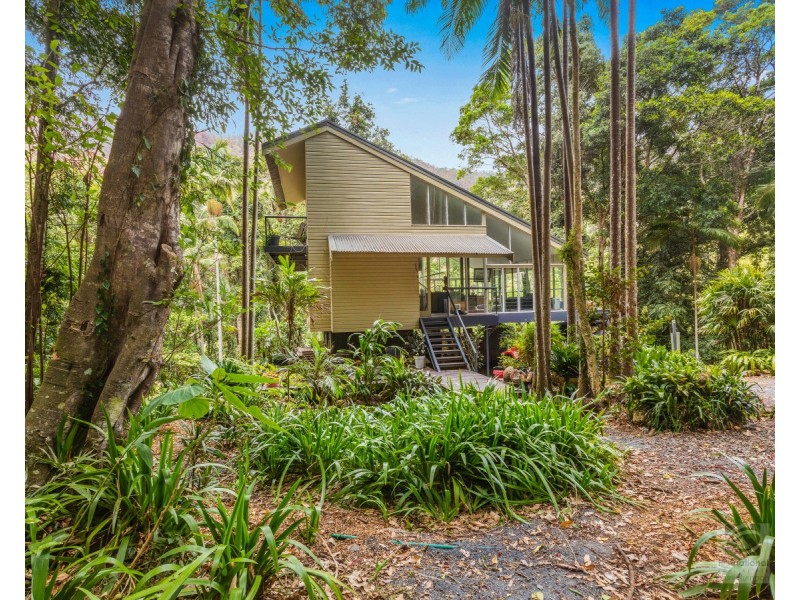 484 Upper Wilsons Creek Road, Upper Wilsons Creek NSW 2482