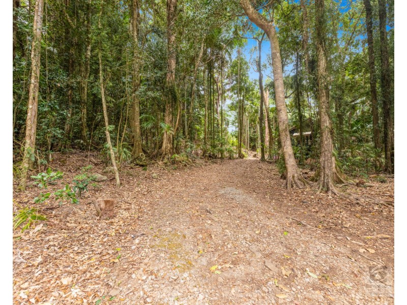 484 Upper Wilsons Creek Road, Upper Wilsons Creek NSW 2482