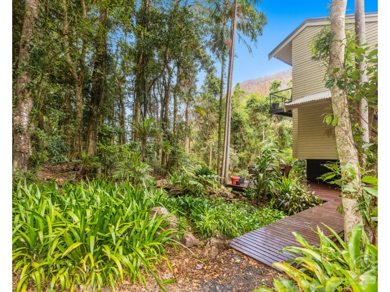 484 Upper Wilsons Creek Road, Upper Wilsons Creek NSW 2482