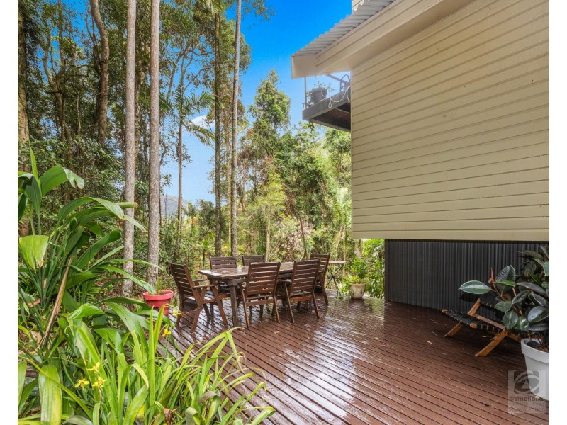 484 Upper Wilsons Creek Road, Upper Wilsons Creek NSW 2482