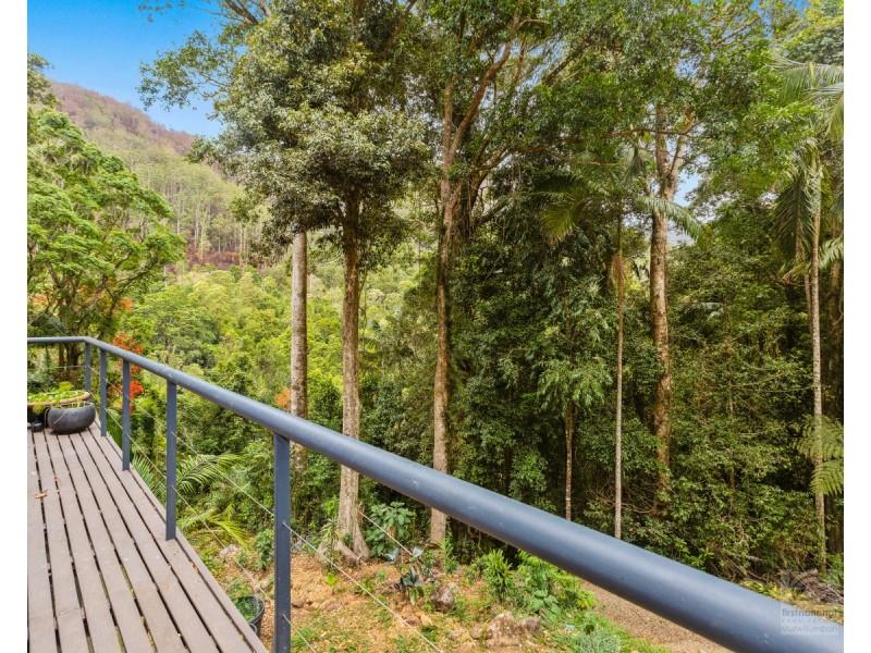 484 Upper Wilsons Creek Road, Upper Wilsons Creek NSW 2482