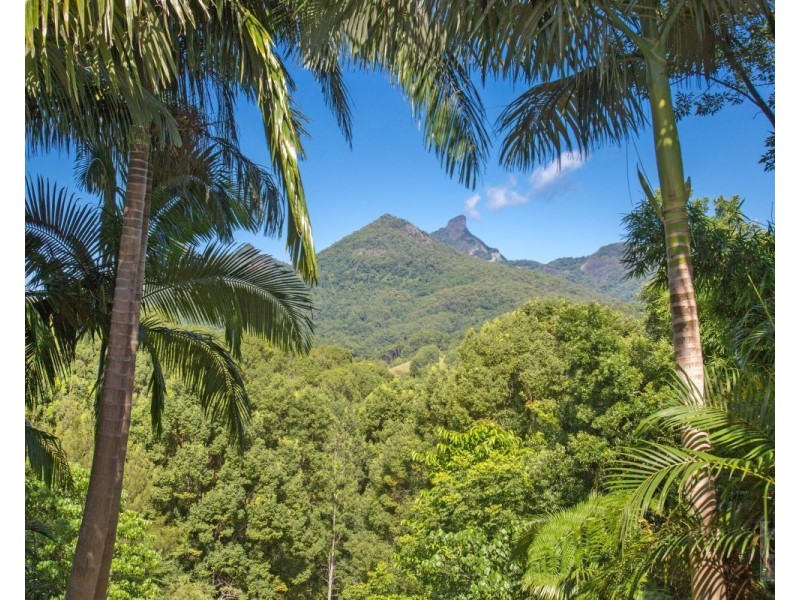 34 Bonnydoon Road, Uki NSW 2484