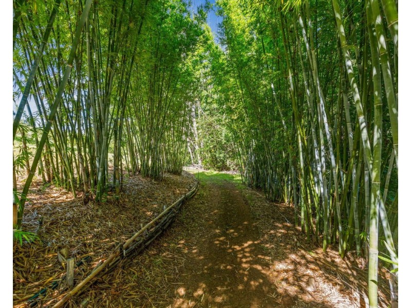 34 Bonnydoon Road, Uki NSW 2484