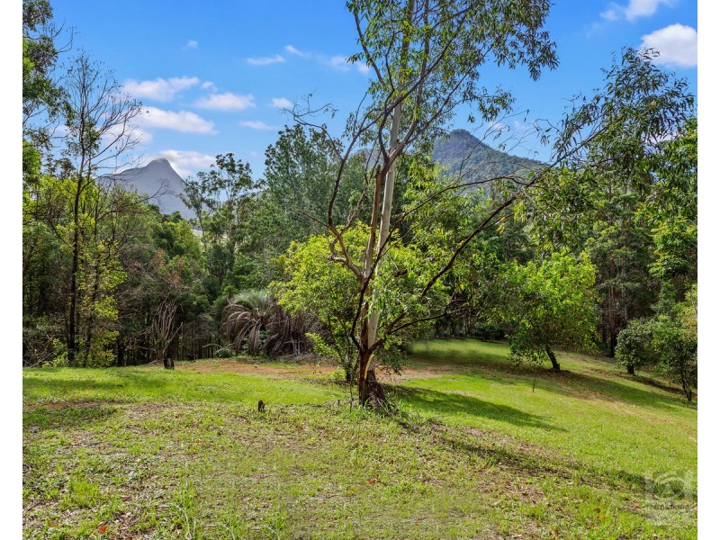 1897 kyogle Road, Terragon NSW 2484