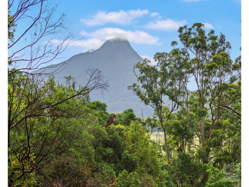 1897 kyogle Road, Terragon NSW 2484