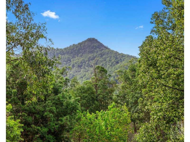 1897 kyogle Road, Terragon NSW 2484