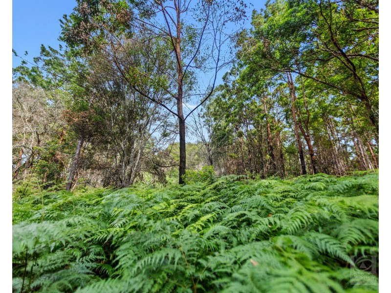 1897 kyogle Road, Terragon NSW 2484