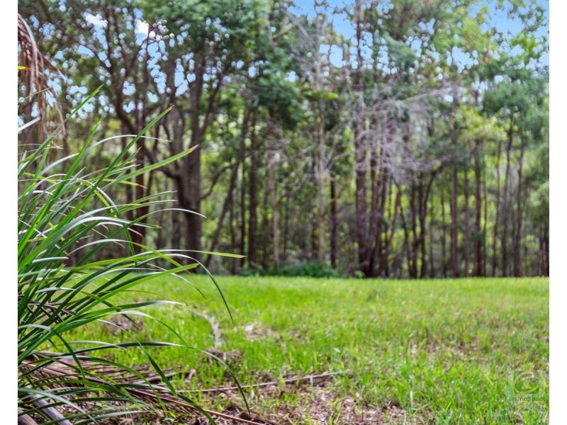 1897 kyogle Road, Terragon NSW 2484