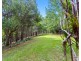 1897 kyogle Road, Terragon NSW 2484