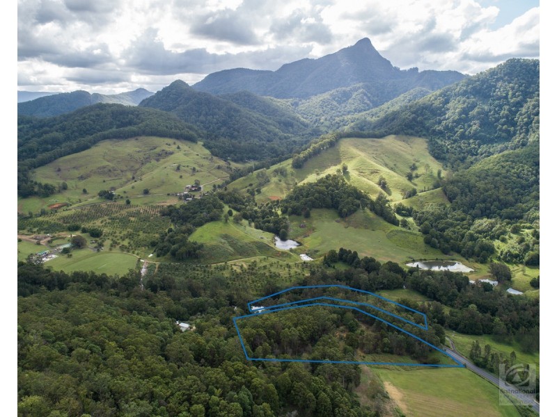 1897 kyogle Road, Terragon NSW 2484