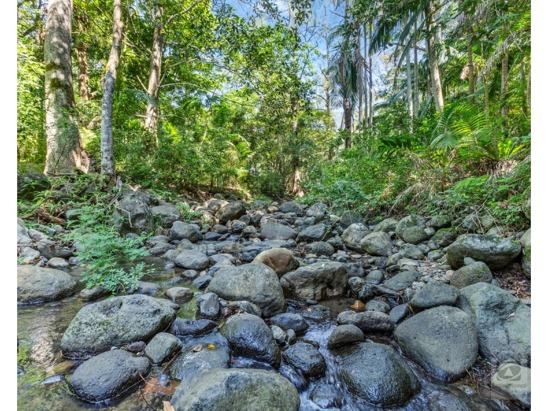 348 South Pumpenbil Road, Pumpenbil NSW 2484