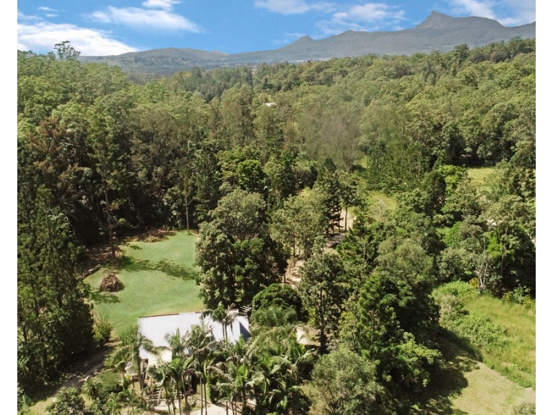 348 South Pumpenbil Road, Pumpenbil NSW 2484