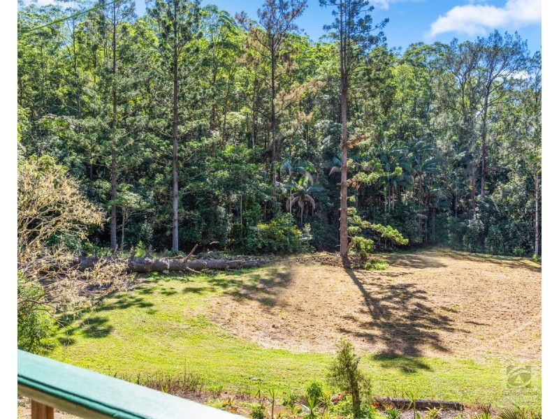 348 South Pumpenbil Road, Pumpenbil NSW 2484