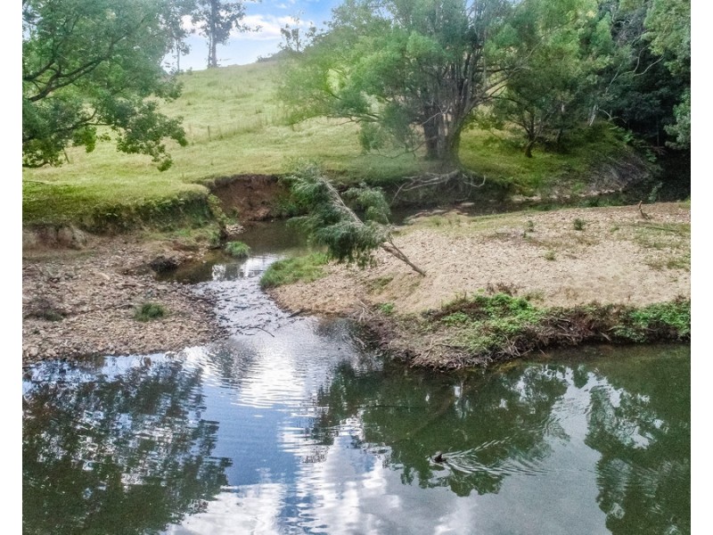 36 Meadow Place, Uki NSW 2484