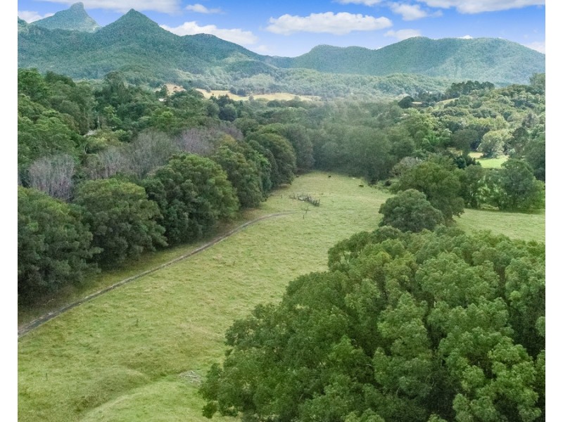 36 Meadow Place, Uki NSW 2484