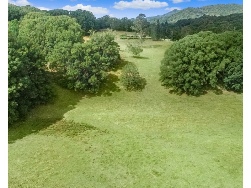 36 Meadow Place, Uki NSW 2484