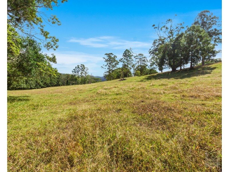 36 Meadow Place, Uki NSW 2484