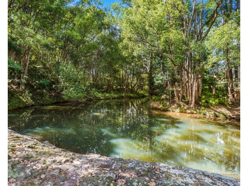 36 Meadow Place, Uki NSW 2484